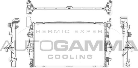 Autogamma 110009 - Radiator, mühərrikin soyudulması furqanavto.az