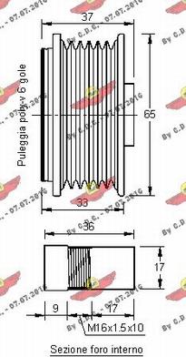 Autokit 03.80981 - Kasnak, alternator, sərbəst dönərli mufta furqanavto.az