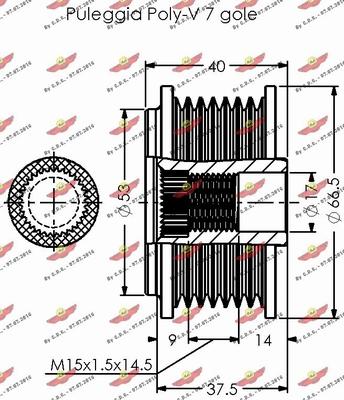 Autokit 03.81681 - Kasnak, alternator, sərbəst dönərli mufta furqanavto.az