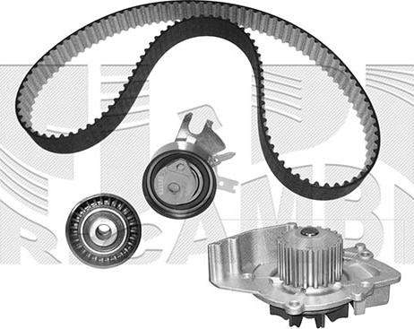 Autoteam KATW1424 - Su Pompası və Vaxt Kəməri Dəsti furqanavto.az