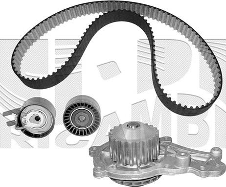 Autoteam KATW1287 - Su Pompası və Vaxt Kəməri Dəsti furqanavto.az