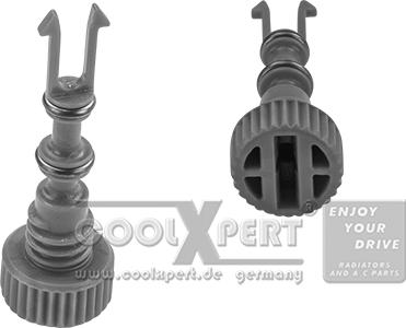 BBR Automotive 001-10-17180 - Bolt, radiator qapağı furqanavto.az