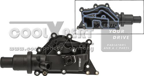 BBR Automotive 001-10-25099 - Termostat, soyuducu furqanavto.az