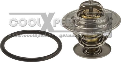 BBR Automotive 002-60-00166 - Termostat, soyuducu furqanavto.az