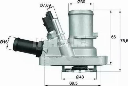 BEHR TI 144 88 - Termostat, soyuducu furqanavto.az