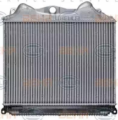 BEHR HELLA Service 8ML 376 724-371 - Intercooler, şarj cihazı furqanavto.az