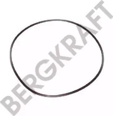 BergKraft BK28311021SP - Mühür halqası, yağ boşaltma tapası furqanavto.az