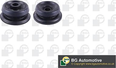 BGA SM5617 - Üst Strut Montajı furqanavto.az