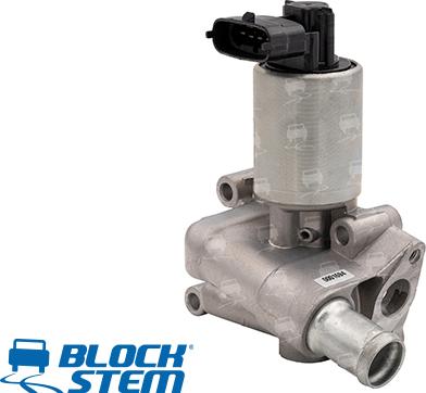 BlockStem EGR0047 - EGR Valf furqanavto.az