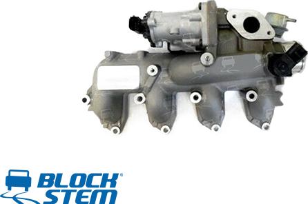 BlockStem EGR0051 - EGR Valf furqanavto.az