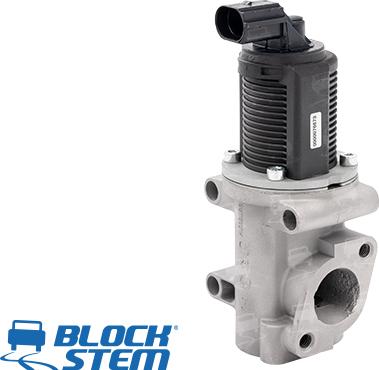 BlockStem EGR0004 - EGR Valf furqanavto.az