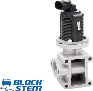 BlockStem EGR0005 - EGR Valf furqanavto.az