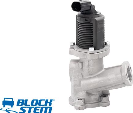 BlockStem EGR0003 - EGR Valf furqanavto.az