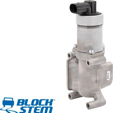 BlockStem EGR0002 - EGR Valf furqanavto.az