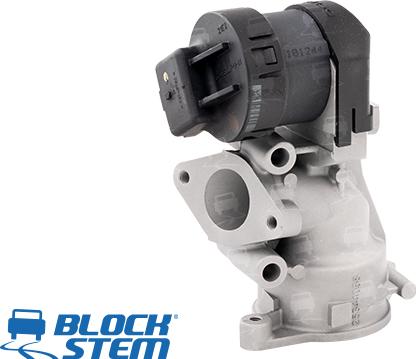 BlockStem EGR0015 - EGR Valf furqanavto.az