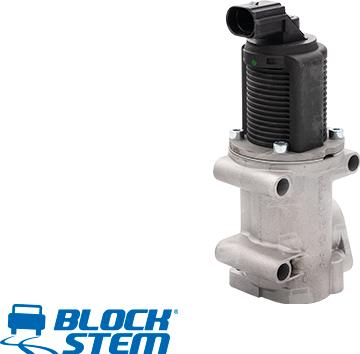 BlockStem EGR0036 - EGR Valf furqanavto.az