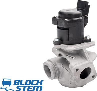 BlockStem EGR0033 - EGR Valf furqanavto.az