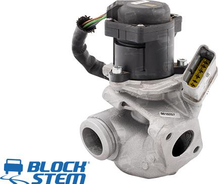 BlockStem EGR0020 - EGR Valf furqanavto.az