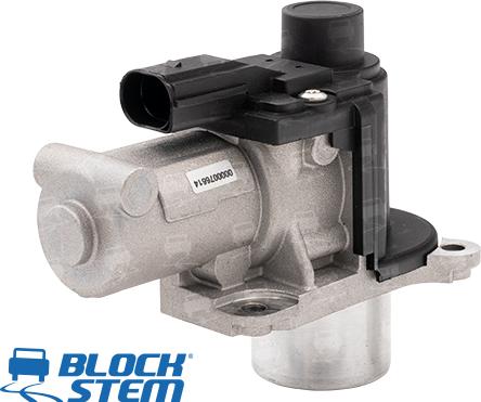 BlockStem EGR0071 - EGR Valf furqanavto.az