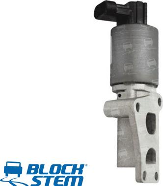 BlockStem EGR0105 - EGR Valf furqanavto.az