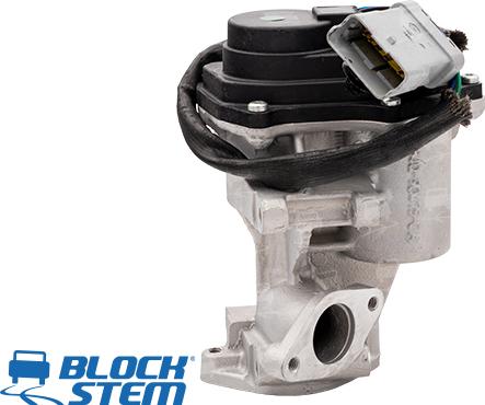 BlockStem EGR0183 - EGR Valf furqanavto.az