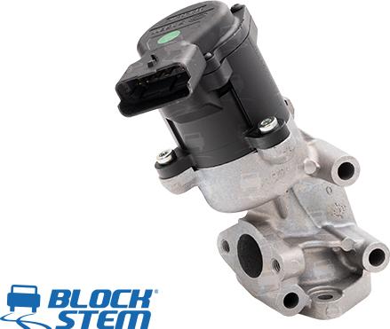 BlockStem EGR0123 - EGR Valf furqanavto.az