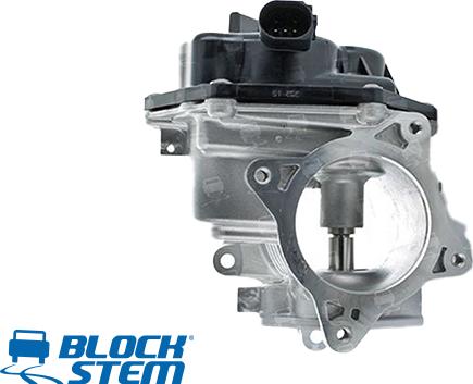 BlockStem EGR0311 - EGR Valf furqanavto.az