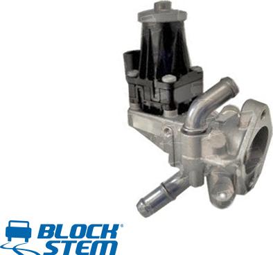 BlockStem EGR0325 - EGR Valf furqanavto.az