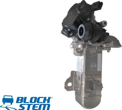 BlockStem EGR0246 - EGR Valf furqanavto.az