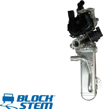 BlockStem EGR0256 - EGR Valf furqanavto.az