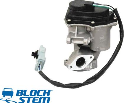 BlockStem EGR0263 - EGR Valf furqanavto.az