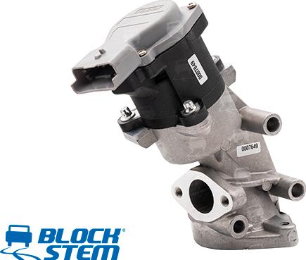 BlockStem EGR0209 - EGR Valf furqanavto.az