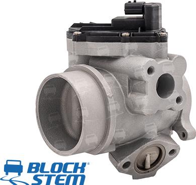 BlockStem EGR0279 - EGR Valf furqanavto.az