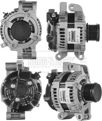 Borg & Beck BBA3016 - Alternator furqanavto.az