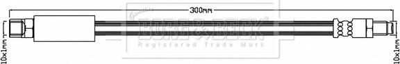 Borg & Beck BBH6928 - Əyləc şlanqı furqanavto.az