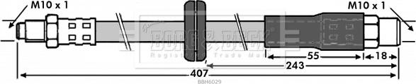 Borg & Beck BBH6029 - Əyləc şlanqı furqanavto.az