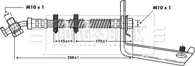 Borg & Beck BBH6805 - Əyləc şlanqı furqanavto.az