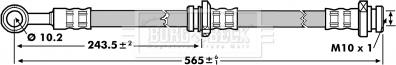 Borg & Beck BBH7142 - Əyləc şlanqı furqanavto.az