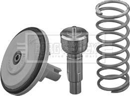 Borg & Beck BBT203 - Termostat, soyuducu furqanavto.az