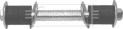 Borg & Beck BDL6950 - Çubuq / Strut, stabilizator furqanavto.az