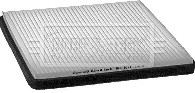 Borg & Beck BFC1071 - Filtr, daxili hava furqanavto.az
