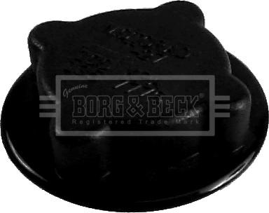 Borg & Beck BRC76 - Mühürləmə qapağı, radiator furqanavto.az