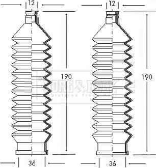 Borg & Beck BSG3013 - Körük dəsti, sükan furqanavto.az