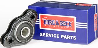 Borg & Beck BSK8105 - Nəzarət Kolu / Arxa Qol furqanavto.az