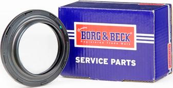 Borg & Beck BSM5020 - Yollanan podşipnik, asma dayaq dayağının montajı furqanavto.az