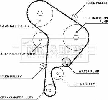Borg & Beck BTW1005 - Su Pompası və Vaxt Kəməri Dəsti furqanavto.az