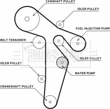 Borg & Beck BTW1035 - Su Pompası və Vaxt Kəməri Dəsti furqanavto.az