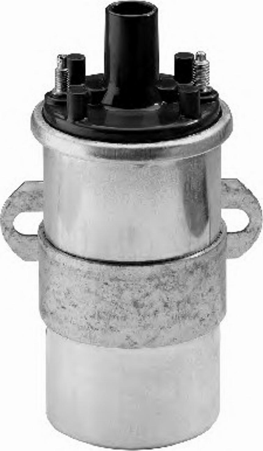 BorgWarner (BERU) 0 040 100 117 - Alovlanma bobini furqanavto.az