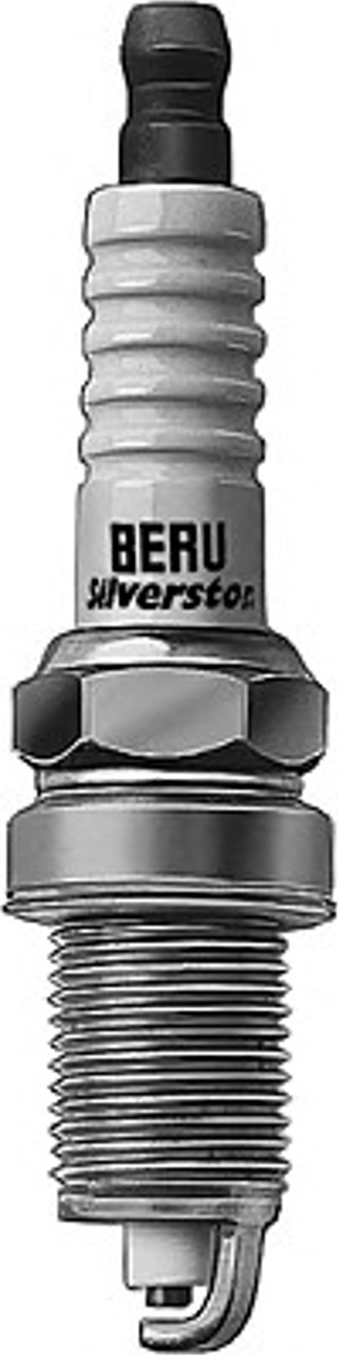 BorgWarner (BERU) 0001340806 - Buji furqanavto.az