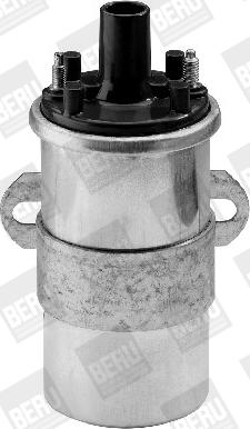 BorgWarner (BERU) ZS117 - Alovlanma bobini furqanavto.az